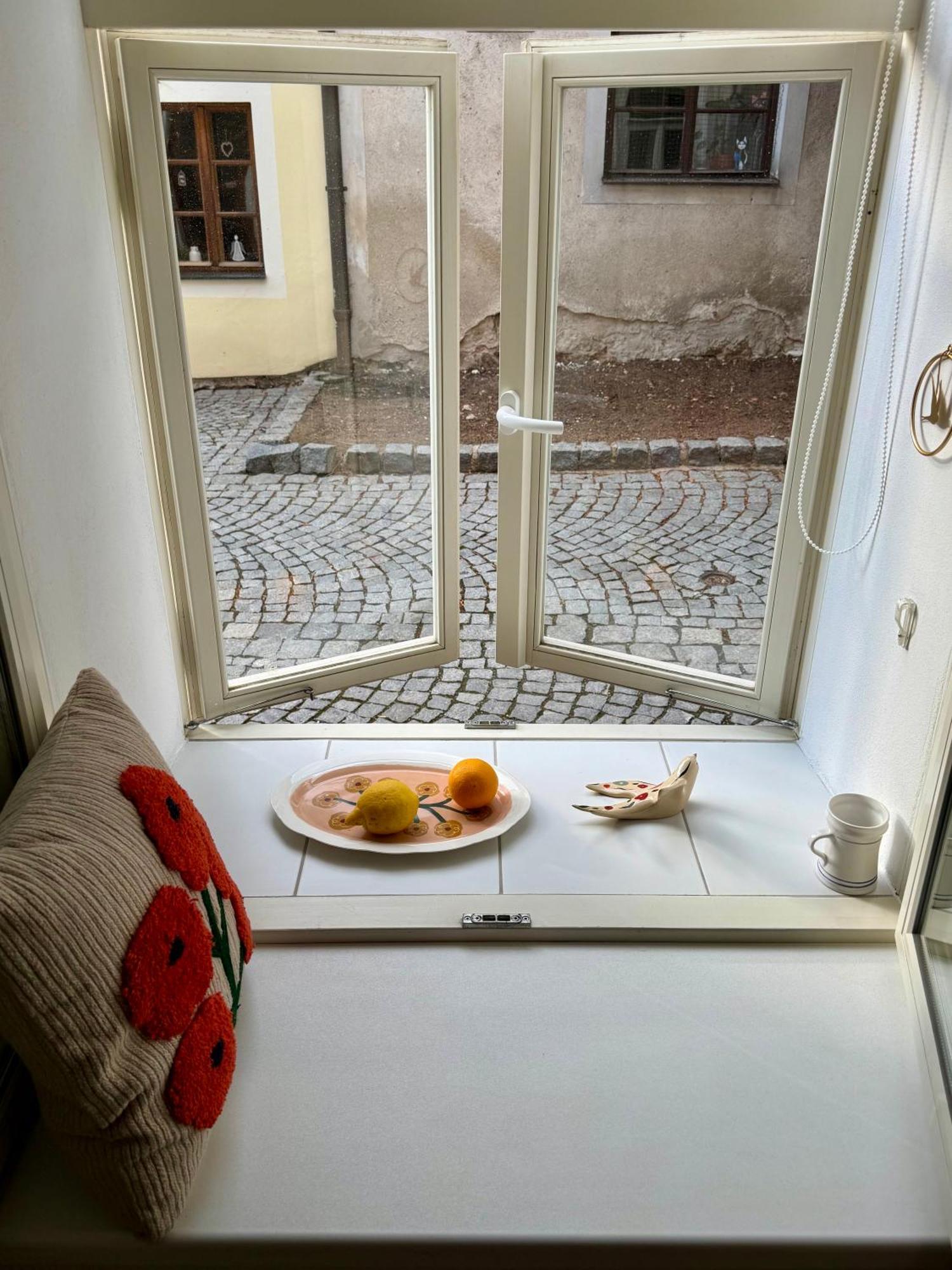 Apartman Na Bidylku - On The Perch Apartment ターボル エクステリア 写真